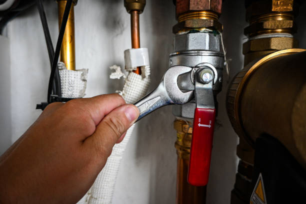 Best Leak Detection Services  in Old Forge, PA